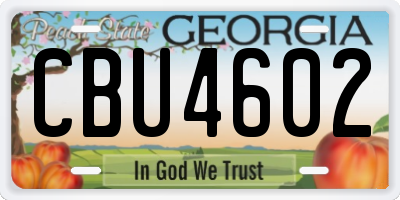 GA license plate CBU4602