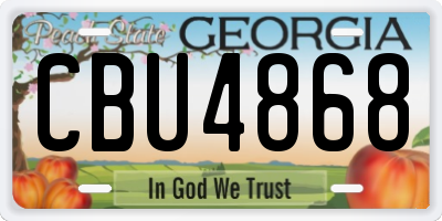 GA license plate CBU4868