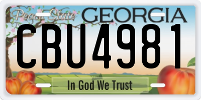 GA license plate CBU4981