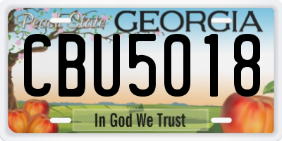 GA license plate CBU5018