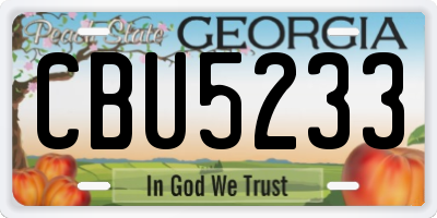 GA license plate CBU5233