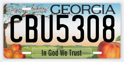 GA license plate CBU5308