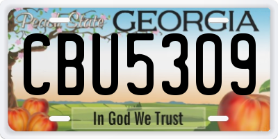 GA license plate CBU5309