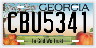 GA license plate CBU5341