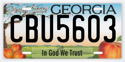 GA license plate CBU5603