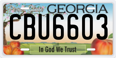 GA license plate CBU6603