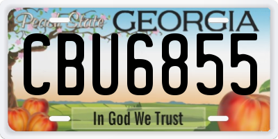 GA license plate CBU6855