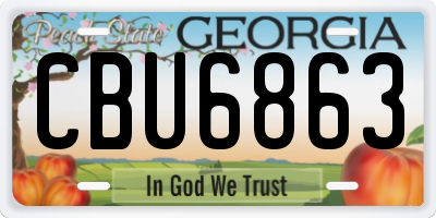 GA license plate CBU6863