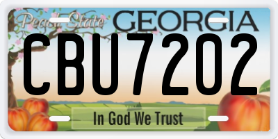 GA license plate CBU7202