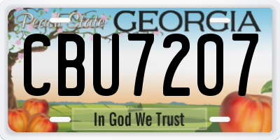 GA license plate CBU7207
