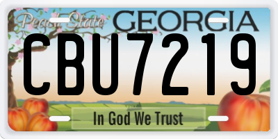 GA license plate CBU7219