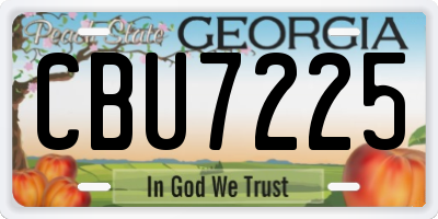 GA license plate CBU7225