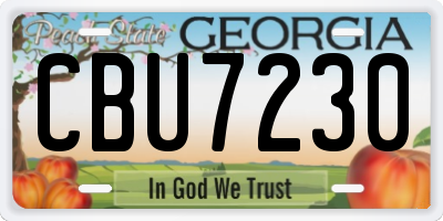 GA license plate CBU7230