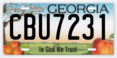 GA license plate CBU7231
