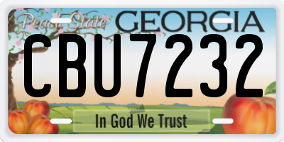 GA license plate CBU7232