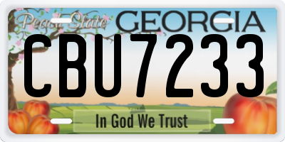 GA license plate CBU7233