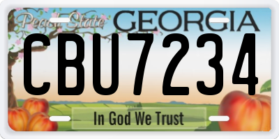 GA license plate CBU7234