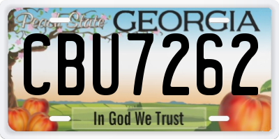 GA license plate CBU7262