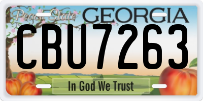 GA license plate CBU7263