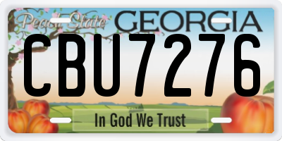 GA license plate CBU7276