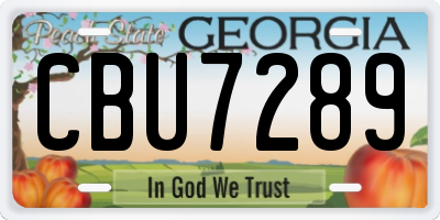 GA license plate CBU7289