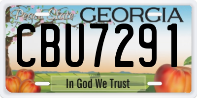 GA license plate CBU7291
