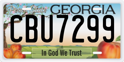 GA license plate CBU7299