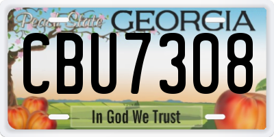 GA license plate CBU7308