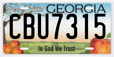 GA license plate CBU7315