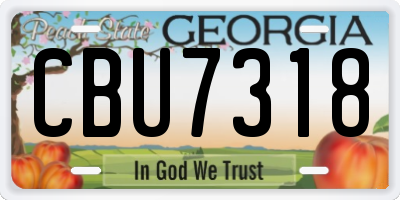 GA license plate CBU7318