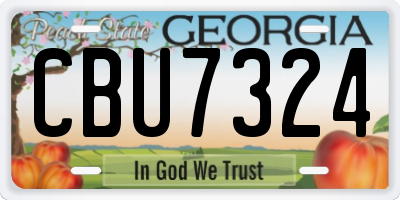 GA license plate CBU7324