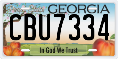 GA license plate CBU7334