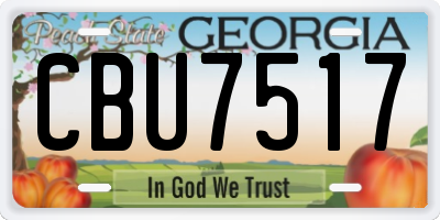 GA license plate CBU7517