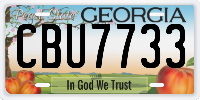 GA license plate CBU7733