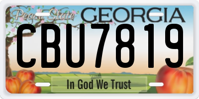 GA license plate CBU7819