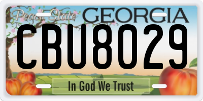 GA license plate CBU8029