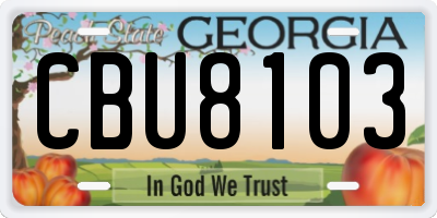 GA license plate CBU8103