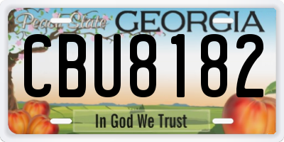 GA license plate CBU8182