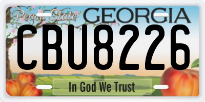 GA license plate CBU8226