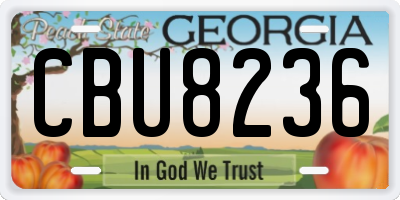 GA license plate CBU8236