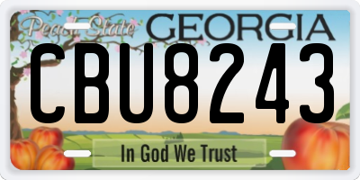 GA license plate CBU8243