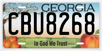 GA license plate CBU8268