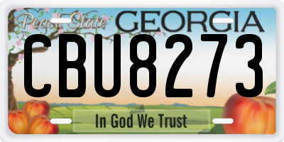 GA license plate CBU8273