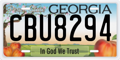 GA license plate CBU8294
