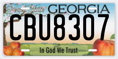 GA license plate CBU8307