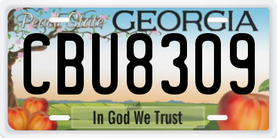 GA license plate CBU8309
