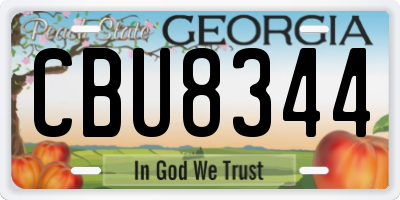 GA license plate CBU8344