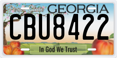 GA license plate CBU8422
