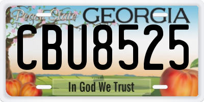 GA license plate CBU8525