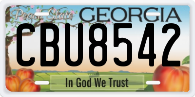 GA license plate CBU8542